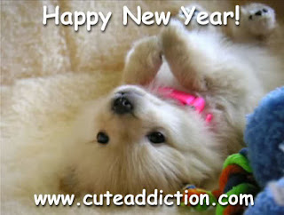 puppy wishing happy new year