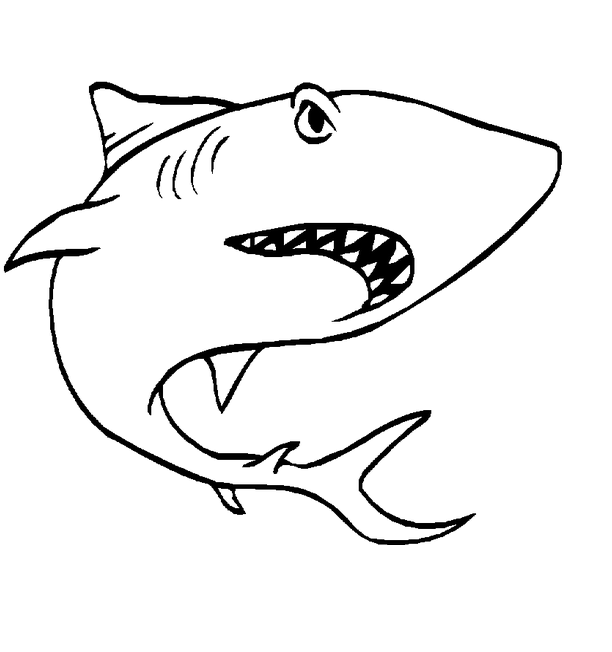 Sea Animal Coloring Pages