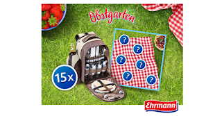  15 Picknick-Rucksäcke von Ehrmann