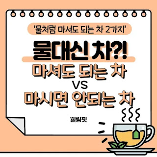 물대신-차-괜찮을까