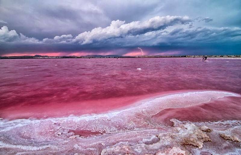 اساس بحيرة هيلر والسبب الحقيقي في لونها الوردي