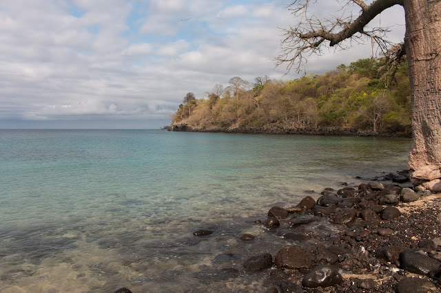 Cacau, Roça, Cooperativa, São Tomé, praia, beach