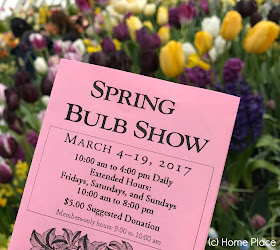 Botanical Garden at Smith College Spring Bulb Show