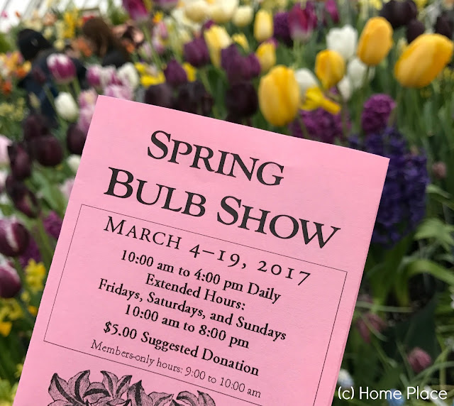 Botanical Garden at Smith College Spring Bulb Show