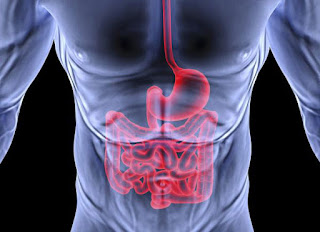 Oclusión intestinal: Síntomas, Causas y Tratamiento