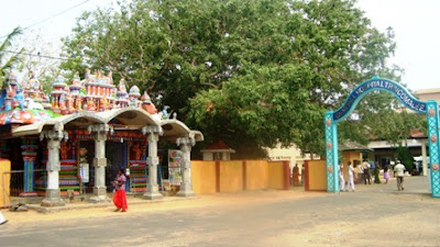 திருகோணமலை பொது வைத்தியசாலை அருள்மிகு அரசடி சித்திவிநாயகர் 