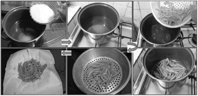  Persiapan Bahan dan Alat untuk Membuat Manisan Kulit Jeruk Cara Membuat Manisan Kulit Jeruk (Bahan-Bahan, Alat-Alat, Proses, dan Pengemasan Manisan Kulit Jeruk)