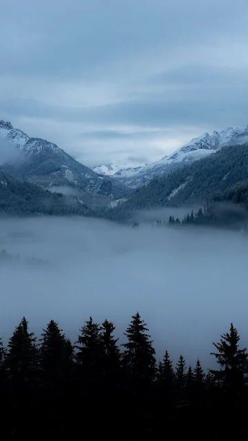 Montanhas, Nevoeiro, Árvores, Vale, Crepúsculo