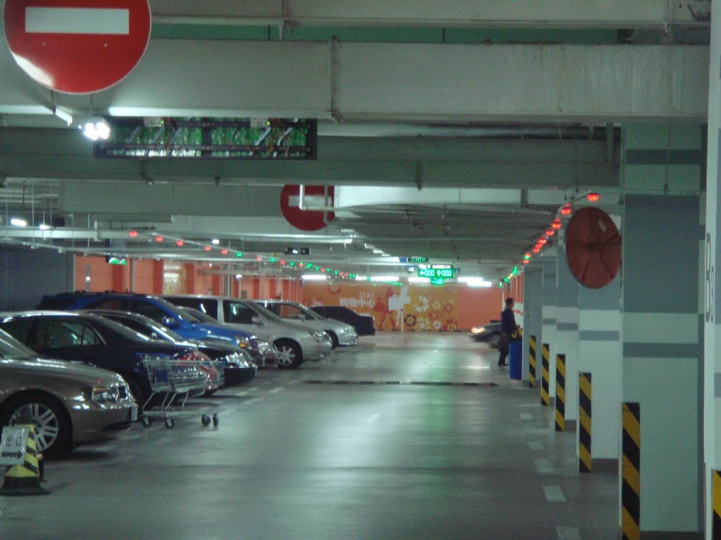 Parking Guidance System