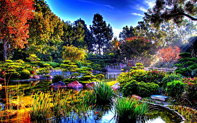 Japanese Beautiful Garden