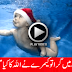 Miracle Baby In The Swimming Pool - Must Watch