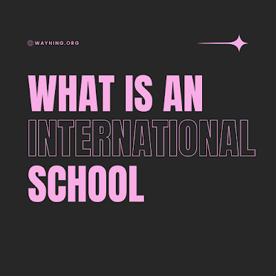 define definition of international school