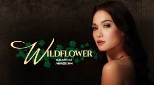 Wildflower Pilot April 2 2017 Pinoy Tv