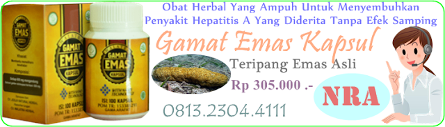 Pengobatan Penyakit Hepatitis A Ampuh