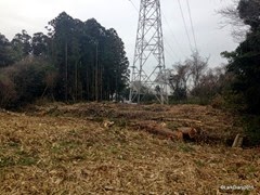 IMG_0574
