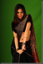 Shraddha Arya Saree Hot Pics