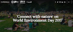 World Environment Day 2017 - UN's Websie