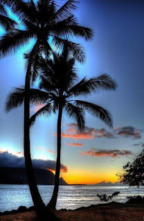 anocheciendo-en-una-playa-tropical