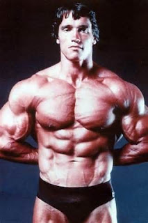 Arnold Schwarzenegger abs workout