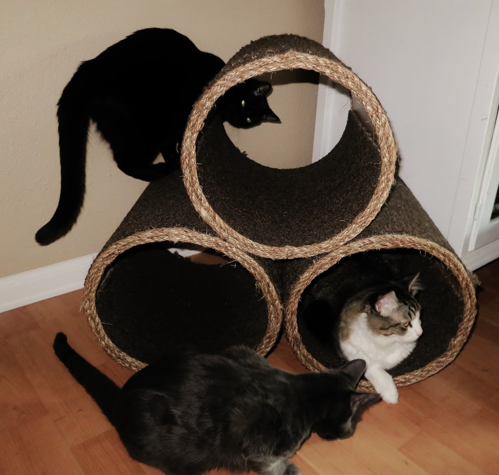 cat playhouse plans