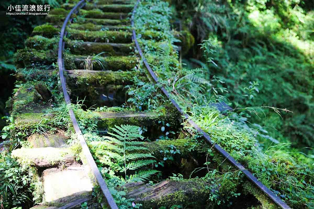 見晴古道過去是太平山運送木材的森林鐵路鐵軌，現在是長2.4公里的森林步道。