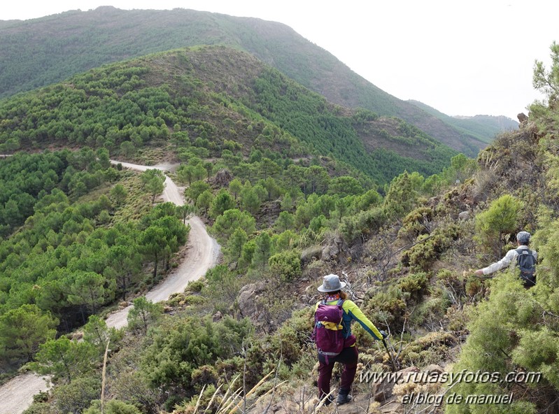 Cerro del Duque