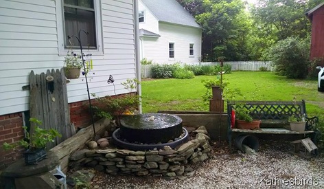 7. 6-27-15 Mom's yard
