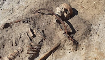 Remains of 'female vampire' found in Poland