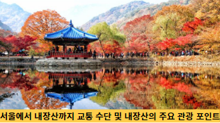서울에서-내장산까지-교통-수단-및-내장산의-주요-관광-포인트-썸네일