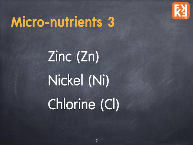 Zinc Nickel Chlorine