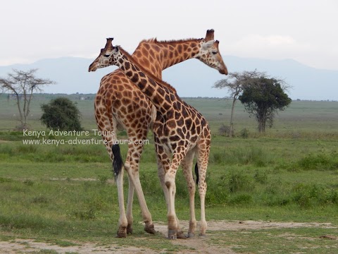 3 Days Samburu National Reserve safari