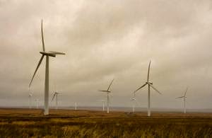 Solar Takes Lead In Renewable Energy Growth
