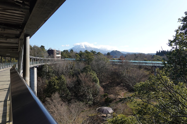 鳥取県西伯郡南部町鶴田 とっとり花回廊 花の谷