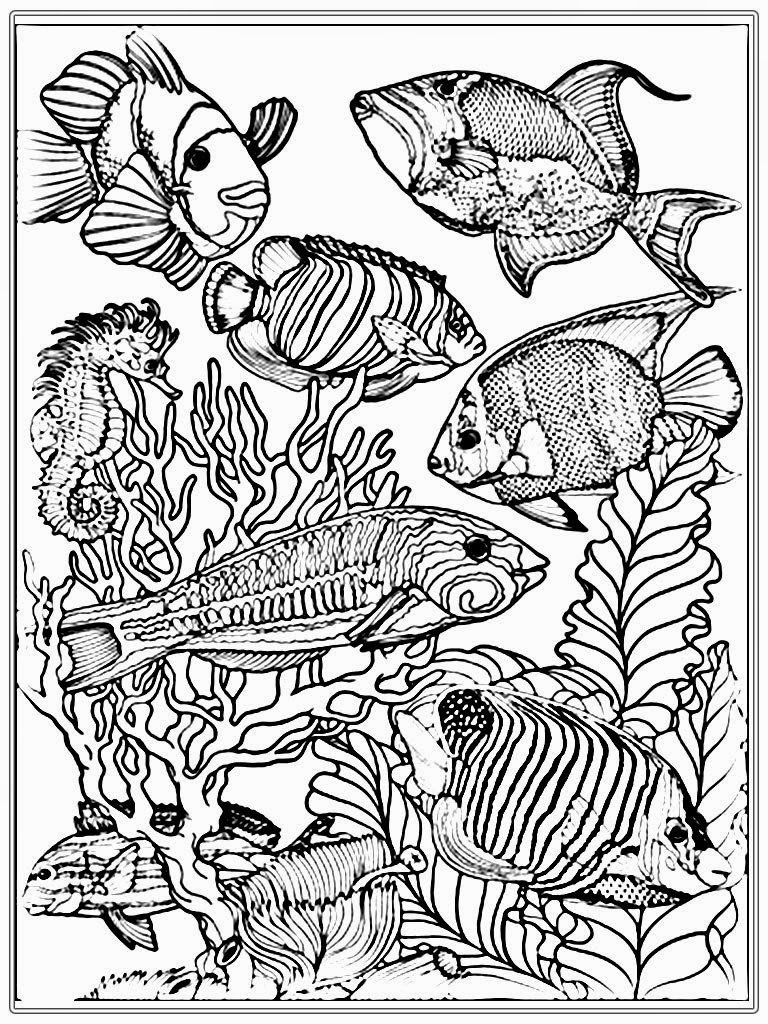 Download Aquarium+Fish+Adult+Coloring+Pages+www.RealisticColoringPages.com.jpg (768×1024) | Fish coloring ...