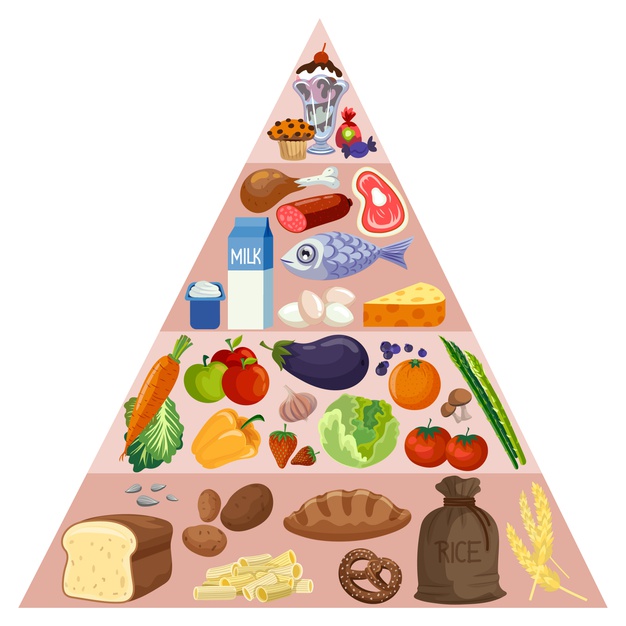 What is Food Pyramid?