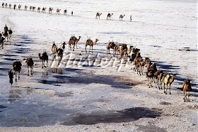 Lago Assal, Yibuti