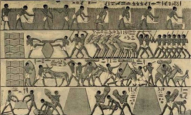 Сельское хозяйство Древнего Египта