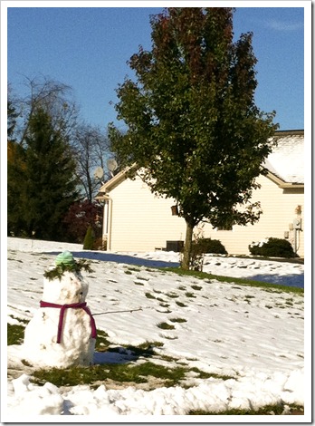 snowman in the fall