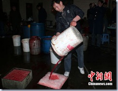 tiet canh                                                           2
