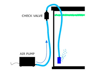 Fungsi Aerator Akuarium Budidaya