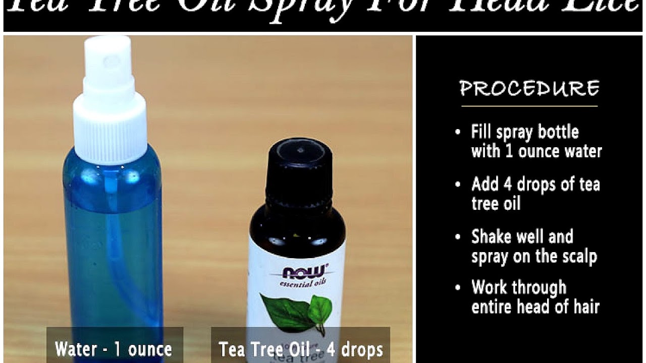 Treating Lice With Tea Tree Oil