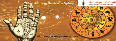 http://www.astrologervishnuji.com/