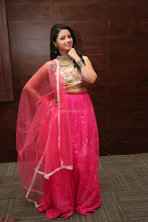 Geethanjali sizzles in Pink at Mixture Potlam Movie Audio Launch 026.JPG