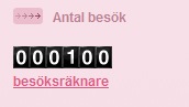 antalbesök
