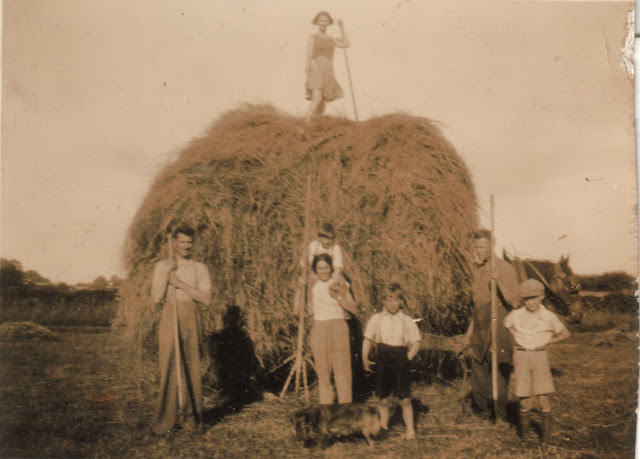 Making hay in the 1930s