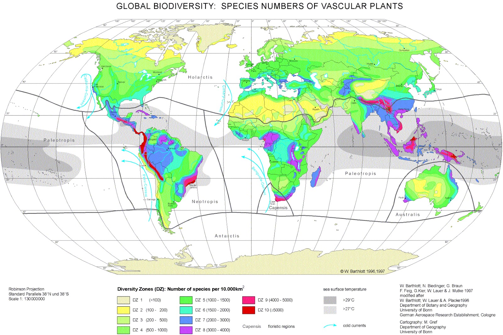 Rainforestscan be found in Asia, Australia, Africa, South America ...