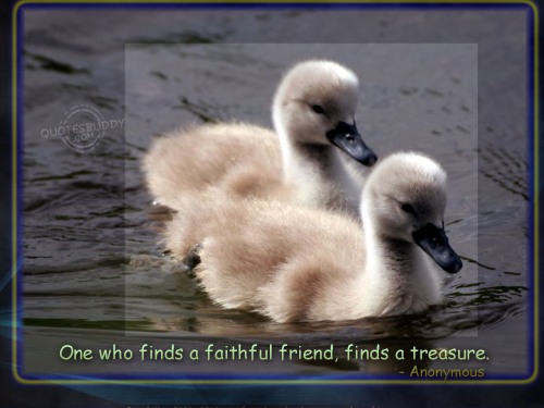 wallpaper of friendship quotes. Friendship Quotes With