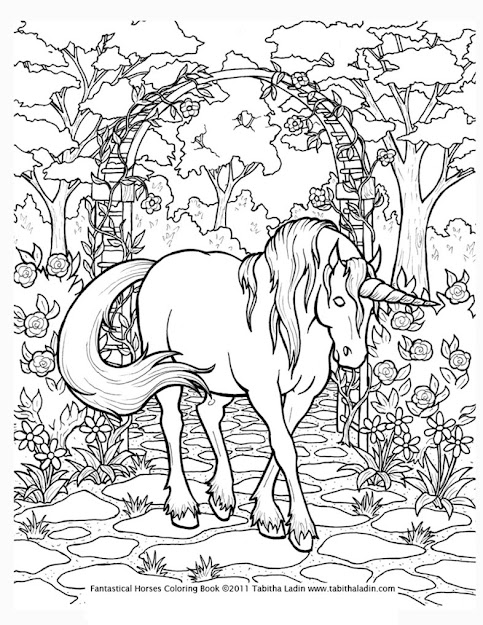 Coloring Pages For Adults Only  Unicorn Coloring Page By Tablynn On  Deviantart