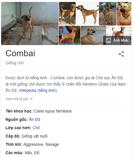 Kombai (Combai)