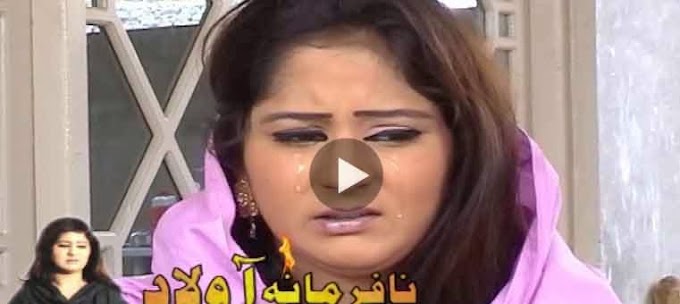 Pashto New Drama Nafarmana Aulaad Part 2